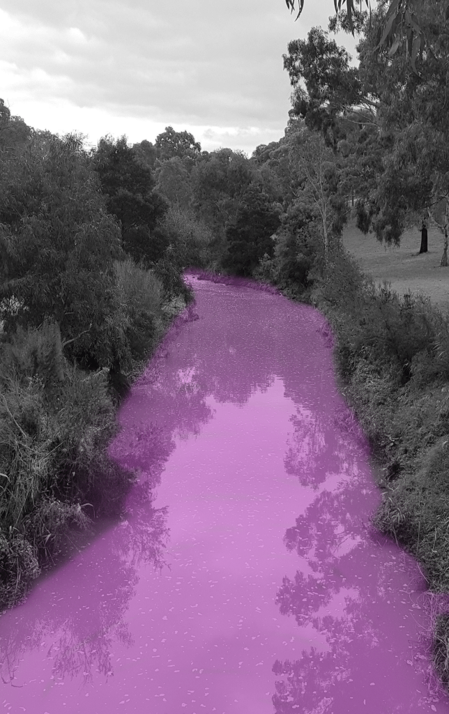 a lake that is pink